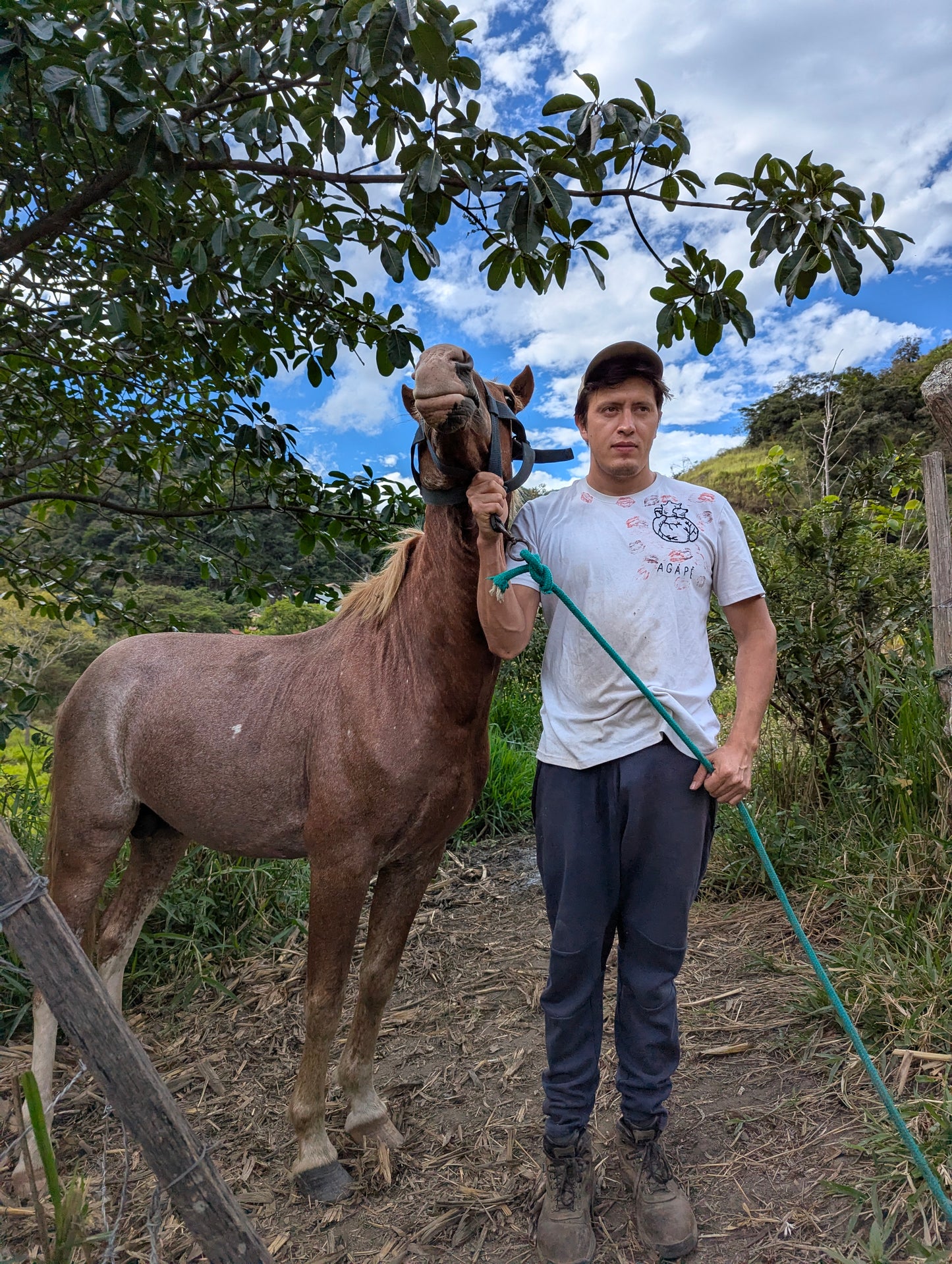 Hacienda La Florida White Honey Mejorado - 100g (3.52oz) - Roasted 01/21/2026