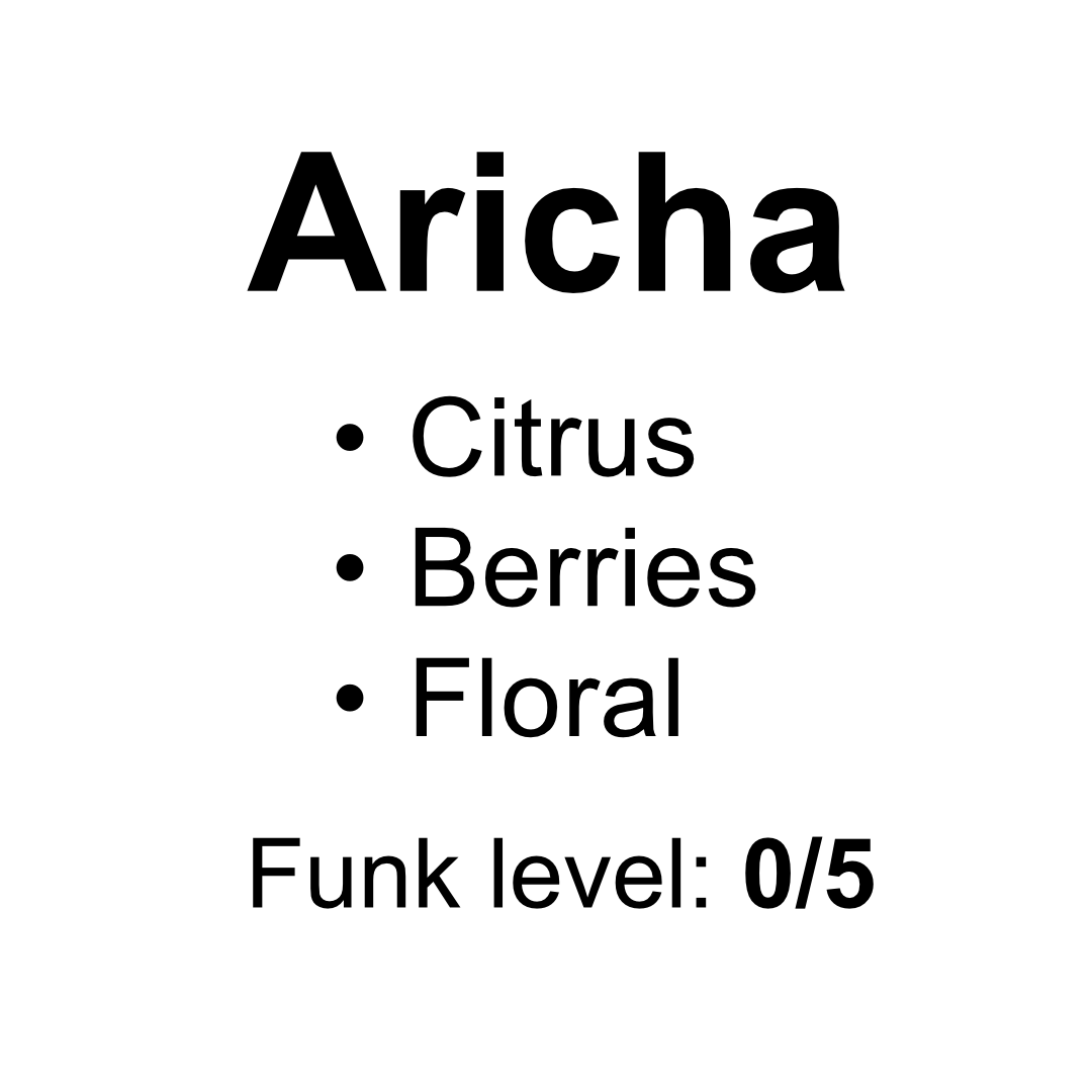 Aricha Washed Landrace - 50g (1.76oz) - Roasted 01/21/2026