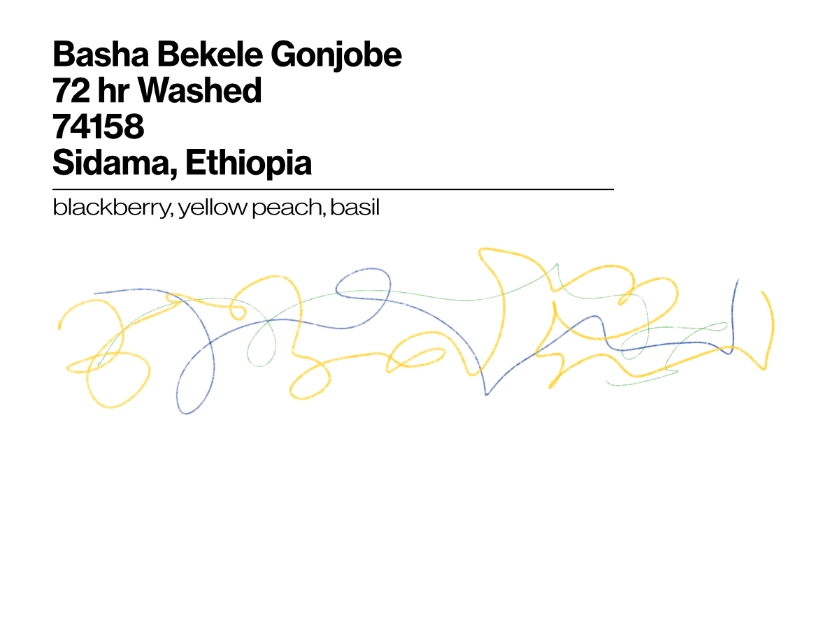 Basha Bekele Gonjobe- 74158 72hr Washed - 50g (1.76oz) - Roasted 10/21/2026