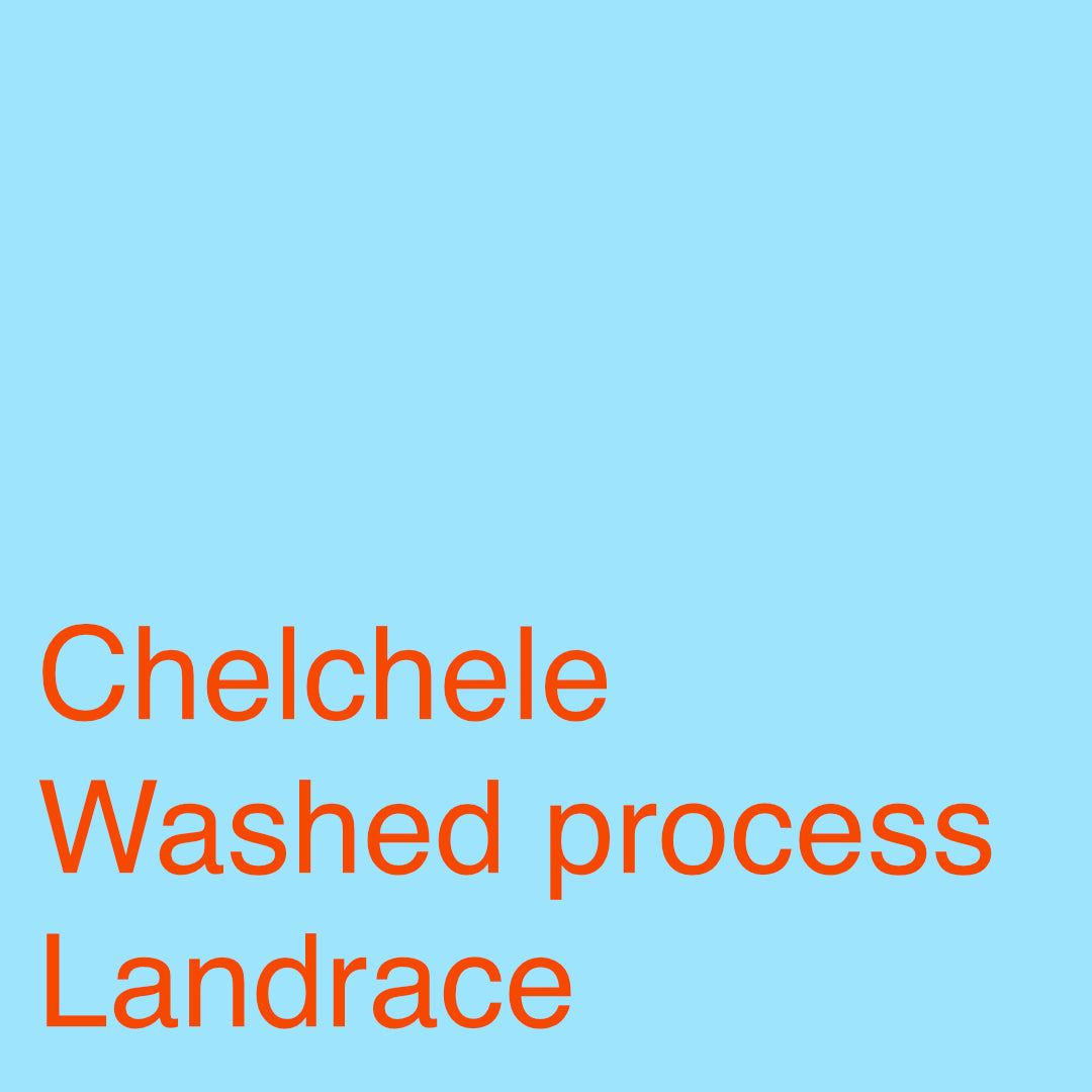 Chelchele Washed Landrace - 200g (7.05oz) - Roasted 02/05/2026