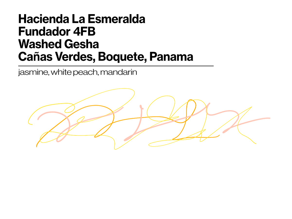 Hacienda La Esmeralda - Washed Gesha - Fundador 4FB - 50g (1.76oz) - Roasted 10/21/2026