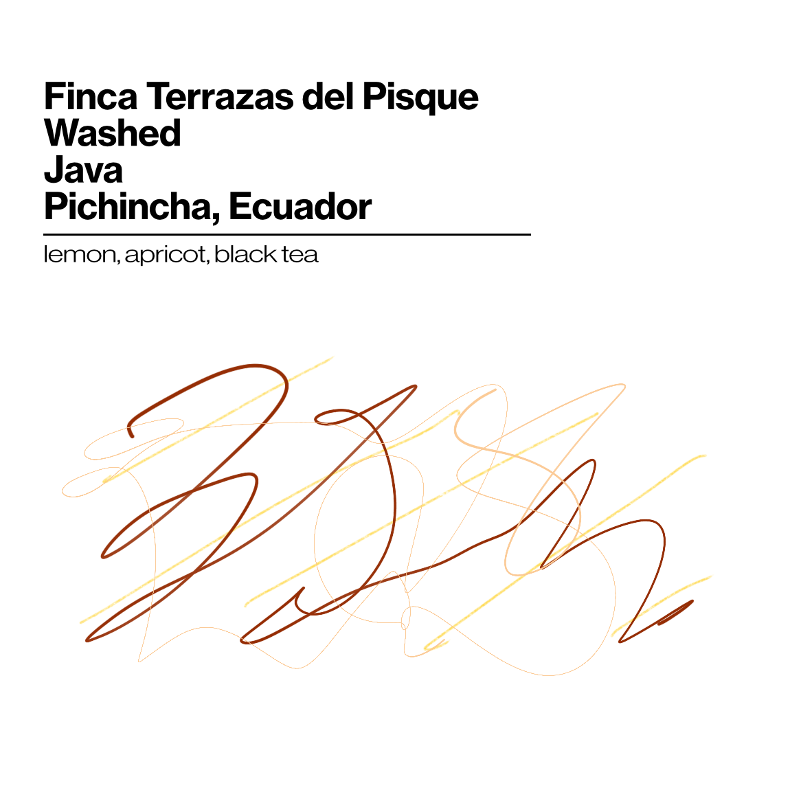 Finca Terrazas del Pisque - Java Washed - 200g (7.05oz) - Roasted 10/21/2026