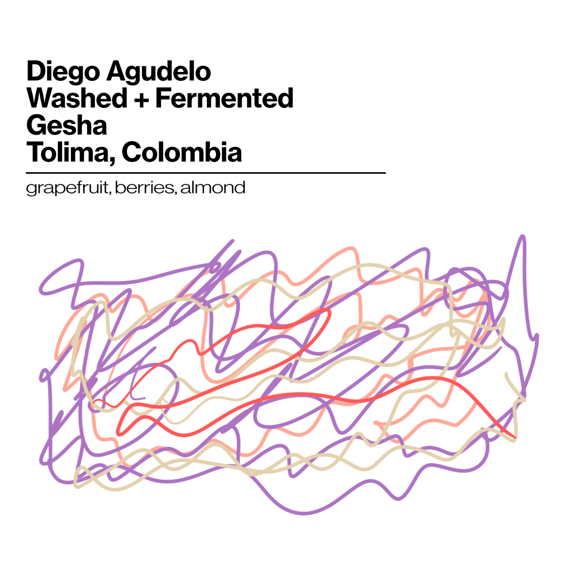 Wholesale - Diego Agudelo Geisha Washed