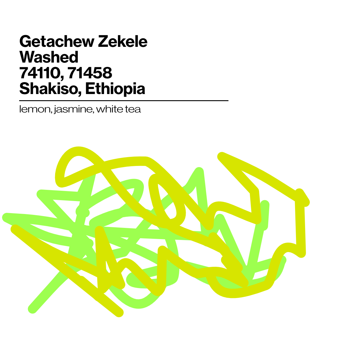 Wholesale - Getachew Zekele, Tero Farm, Washed G1 - Roasted 10/19/2026