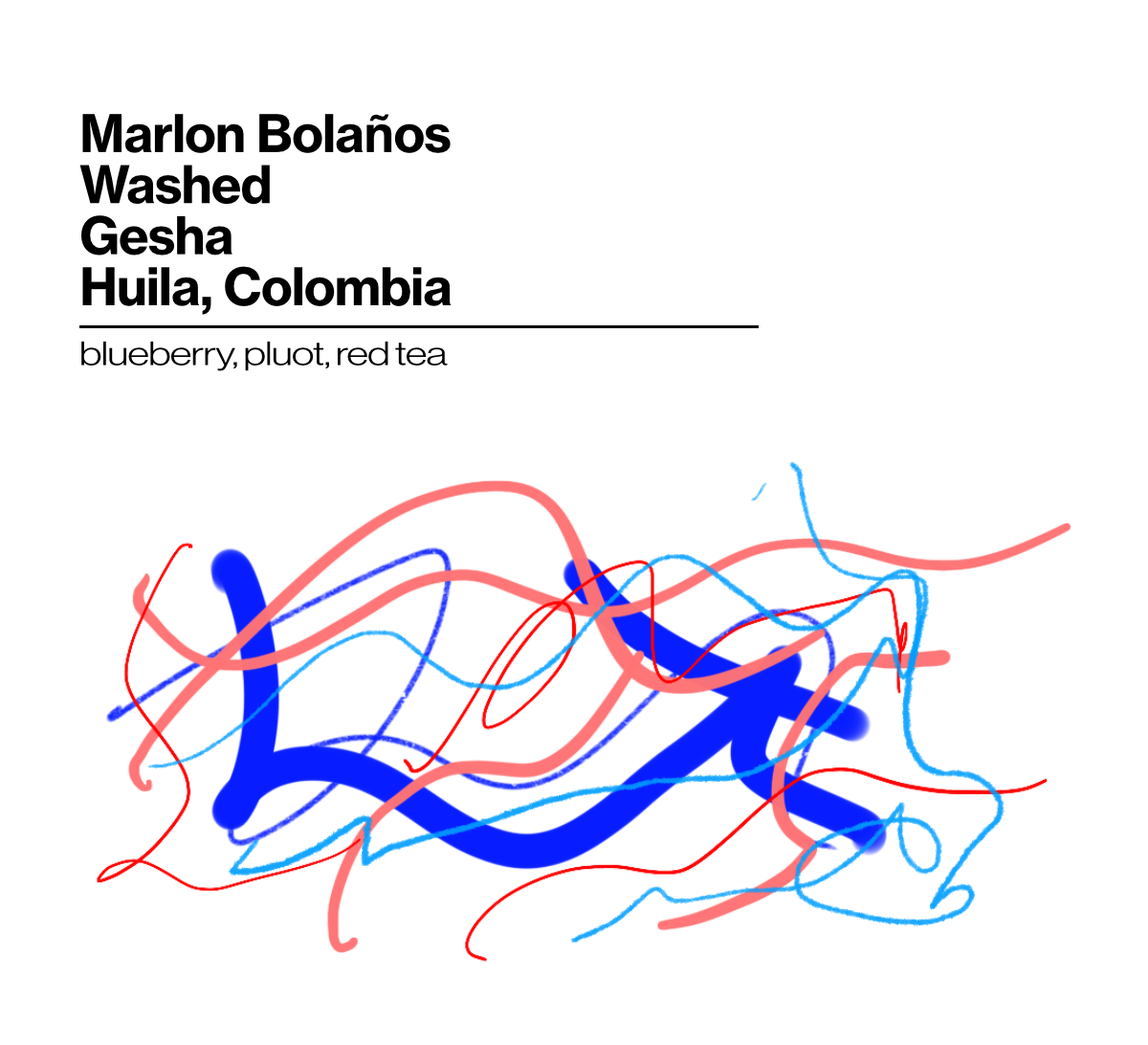 Marlon Bolaños Washed Gesha - 200g (7.05oz) - Roasted 09/30/2026