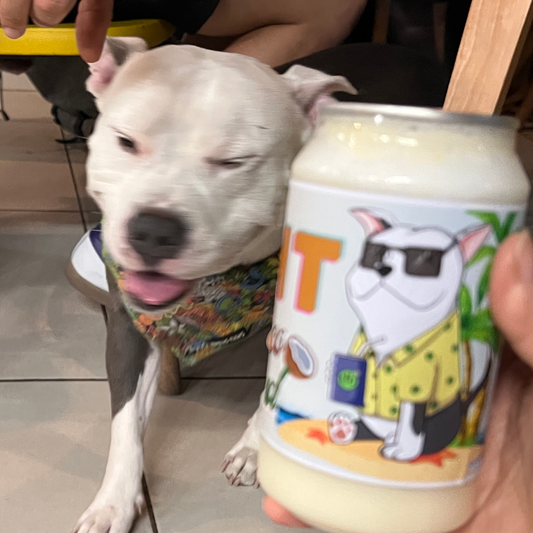 norml coffee ppl subscription - 120g (4.23oz)