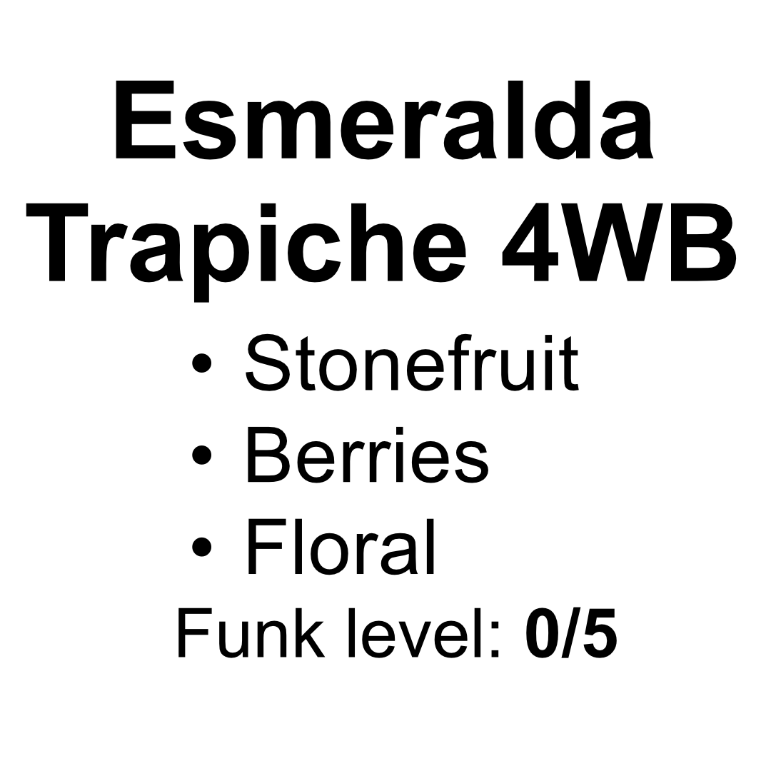 Hacienda La Esmeralda Trapiche 4WB - Washed Gesha - 50g (1.76oz) - Roasted 01/14/2026