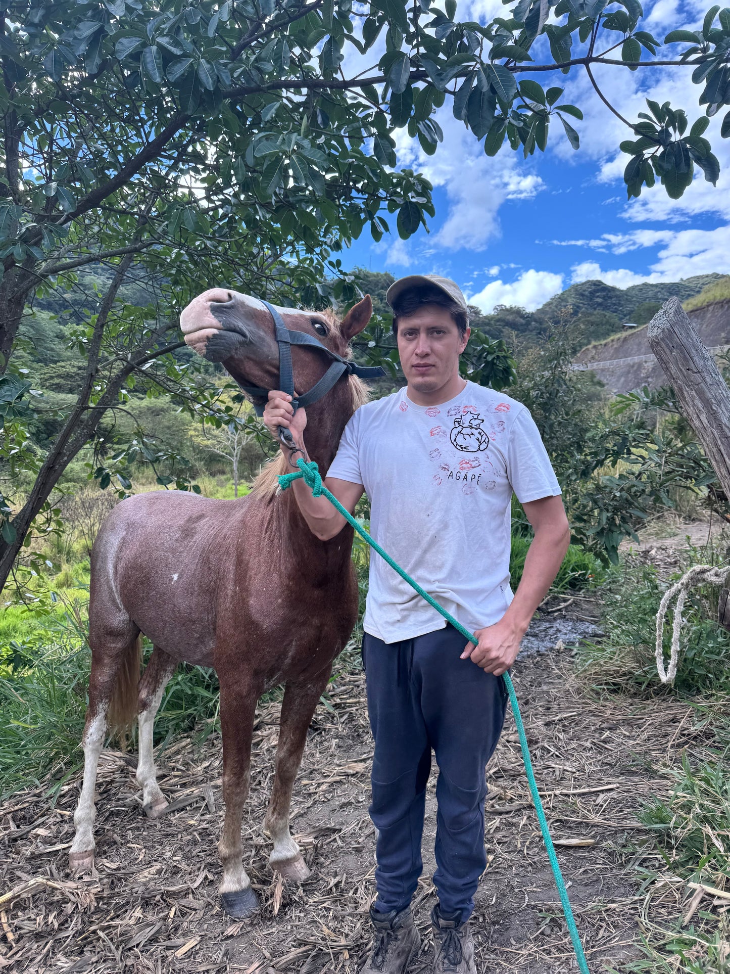 norml coffee ppl subscription - 120g (4.23oz)