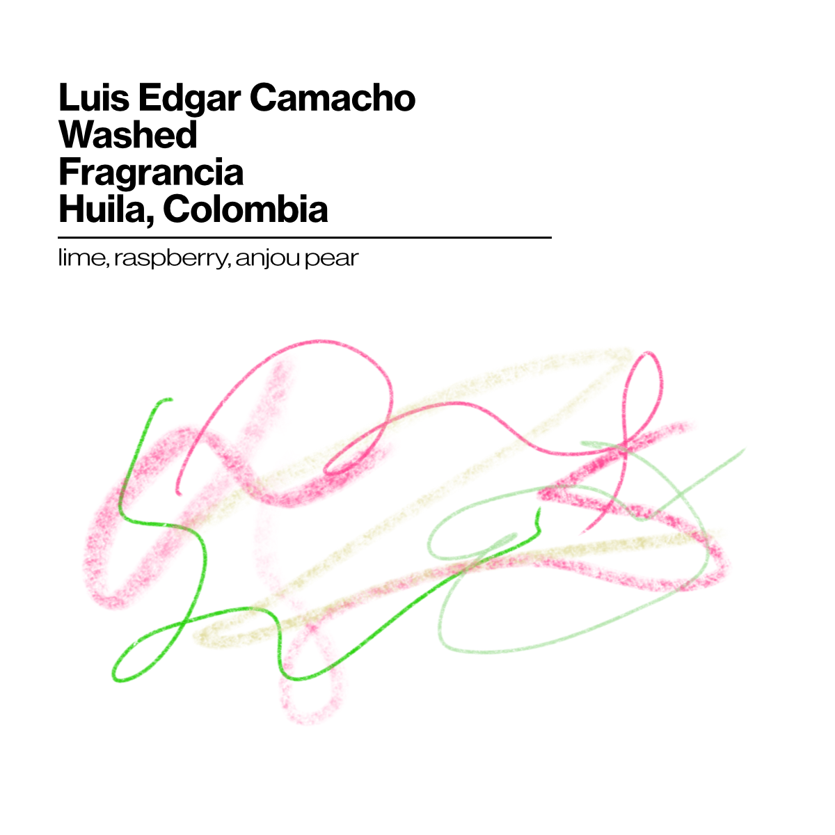 Luis Edgar Camacho - Washed - Fragrancia - 200g (7.05oz) - Roasted 10/21/2026