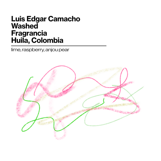 Luis Edgar Camacho - Washed - Fragrancia - 200g (7.05oz) - Roasted 10/21/2026
