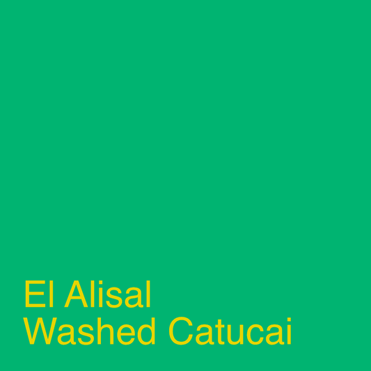El Alisal Washed Catucai - 200g (7.05oz) - Roasted 01/22/2026