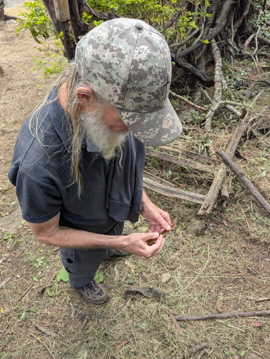 Chakana Cruz Natural Gesha - 200g (7.05oz) - Roasted 02/01/2026