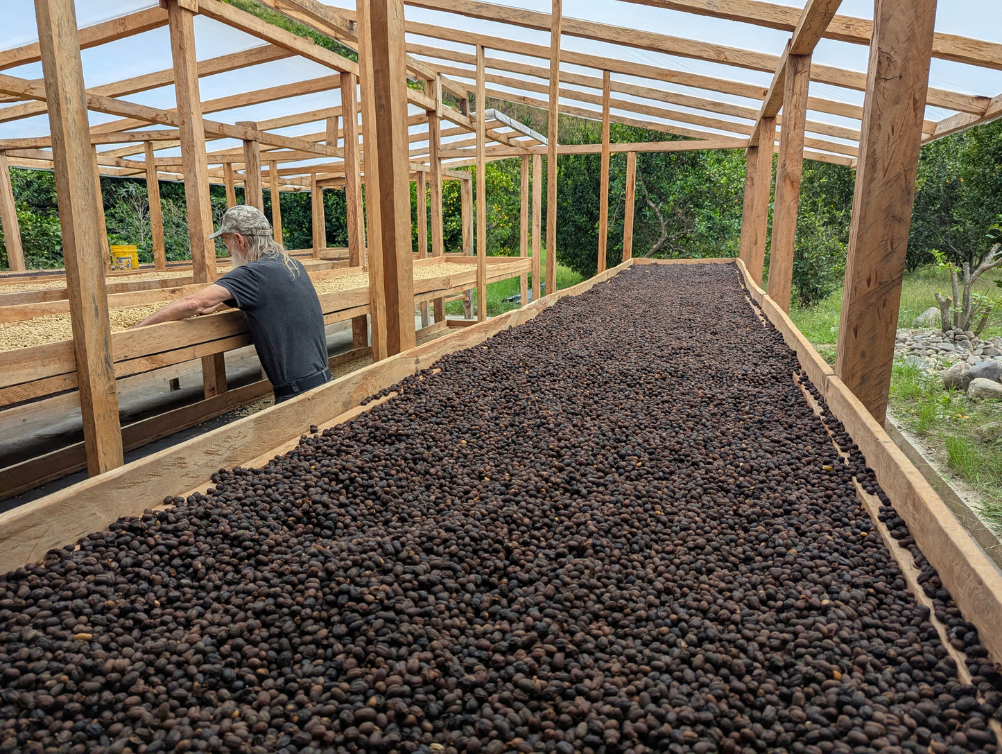 Chakana Cruz Natural Gesha - 200g (7.05oz) - Roasted 02/01/2026