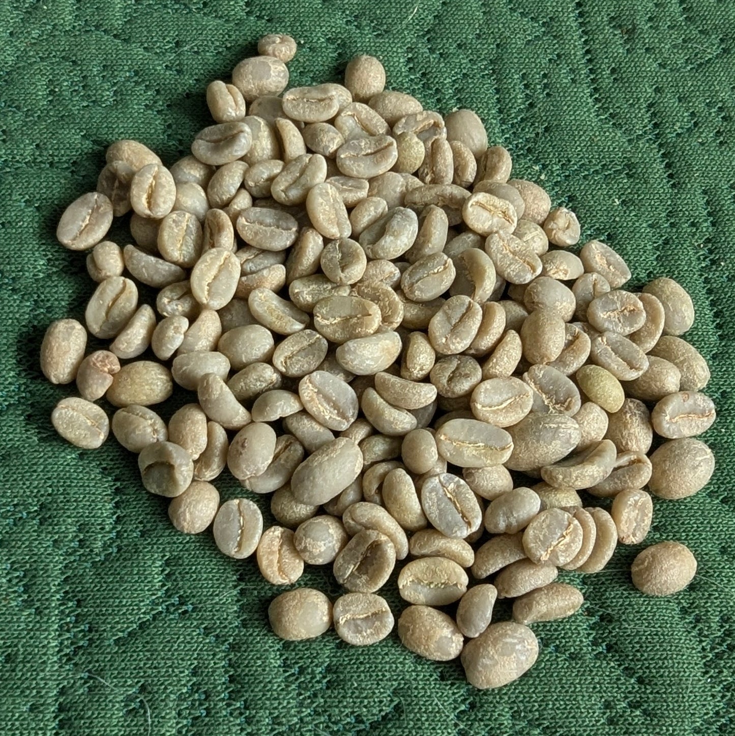 Green Coffee - Kenya - Kathakwa Washed Batian, Ruiru 11, SL28, SL34