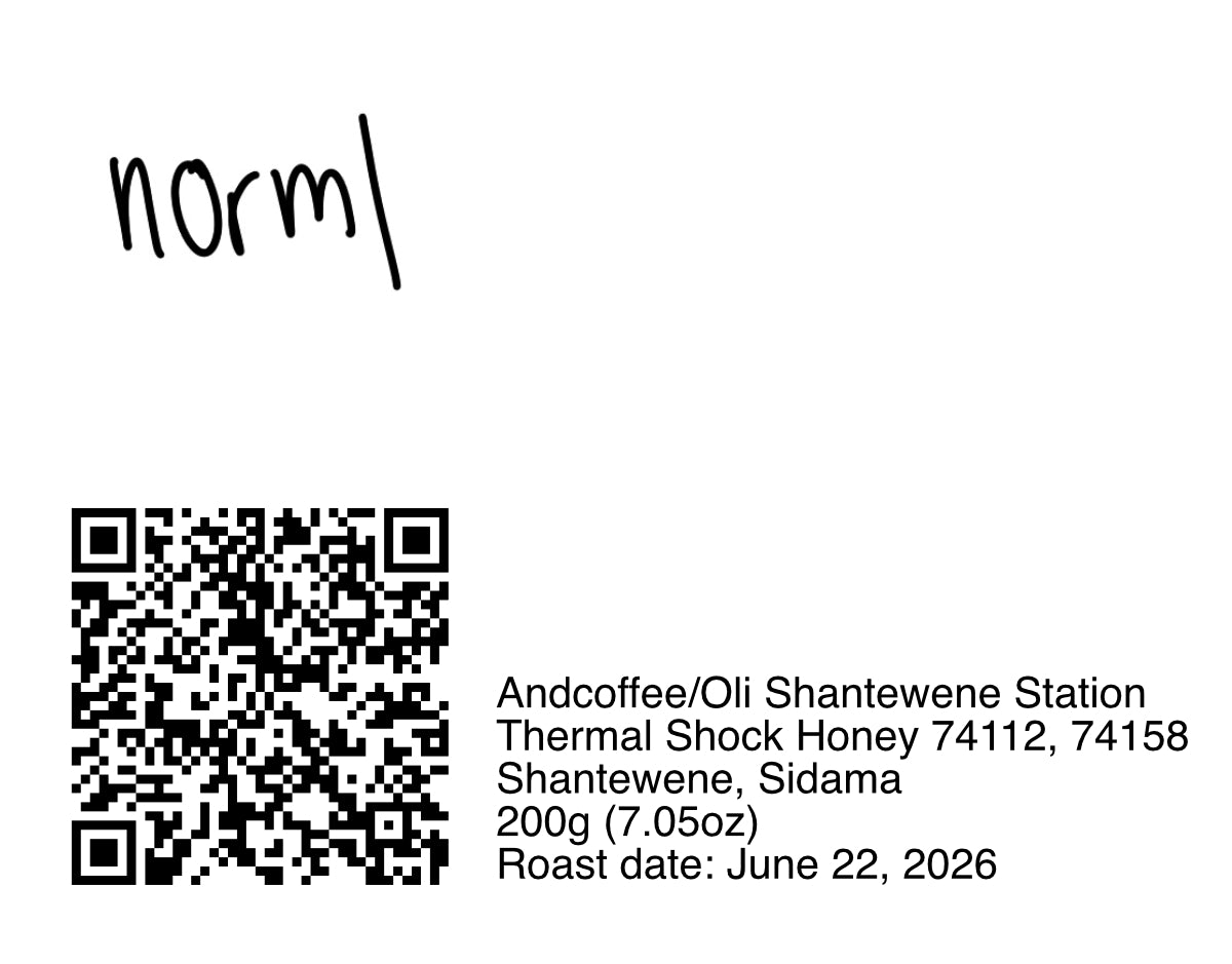 Andcoffee Shantewene - Thermal Shock Honey Process 74112, 74158 - 200g (7.05oz) - Roasted 06/22/2026
