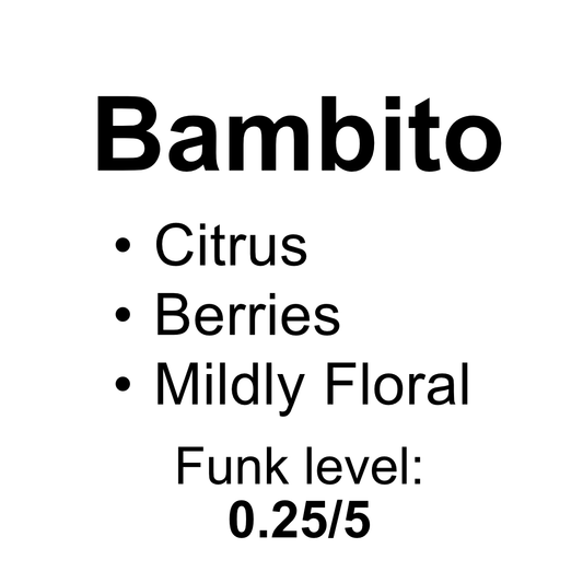 Bambito - Washed Gesha - 50g (1.76oz) - Roasted 01/07/2026