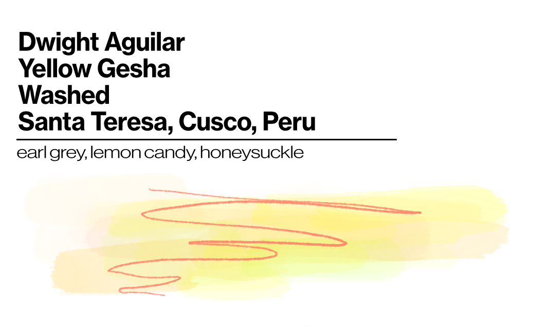 Dwight Aguilar - Washed - Yellow Gesha - 100g (3.53oz) - Roasted 09/30/2026