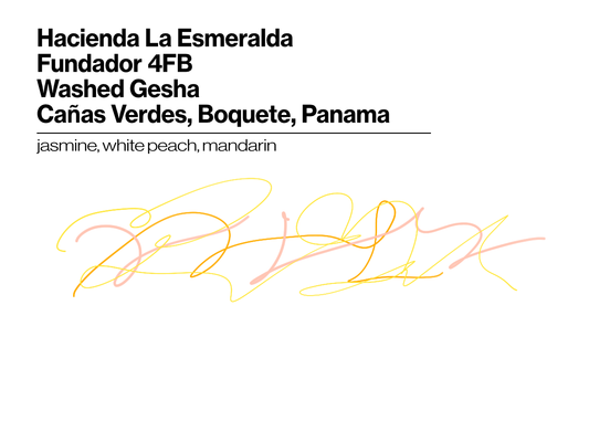 Hacienda La Esmeralda - Washed Gesha - Fundador 4FB - 50g (1.76oz) - Roasted 10/21/2026