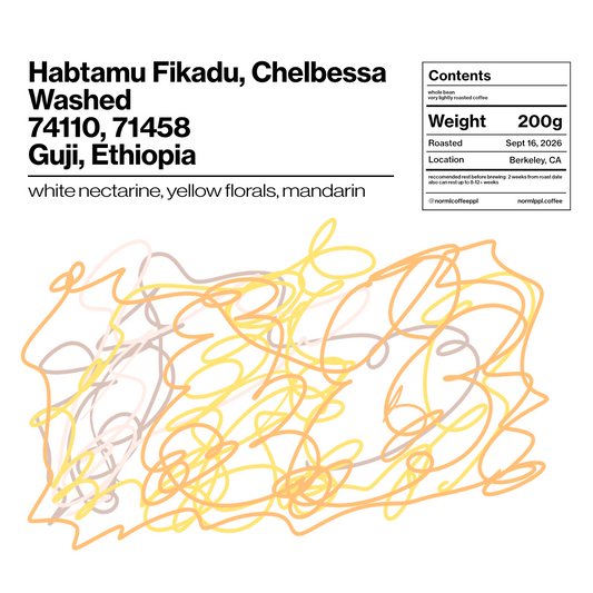 Habtamu Fikadu, Chelbesa - Washed - 74110, 71458 - 200g (7.05oz) - Roasted 09/16/2026