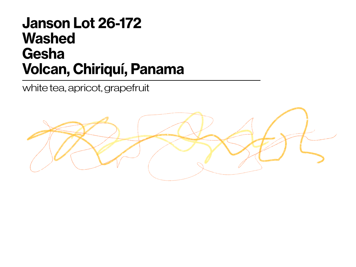 Janson 26-172 - Washed Gesha - 100g (3.52oz)  - Roasted 10/21/2026