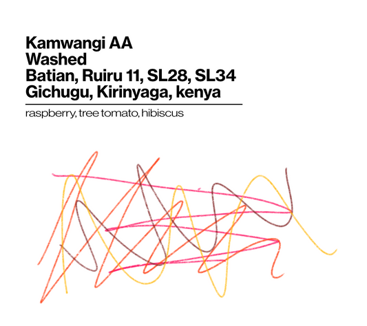 Kamwangi AA - Washed - Batian, Ruiru 11, SL28, SL34- 200g (7.05oz) - Roasted 09/30/2026