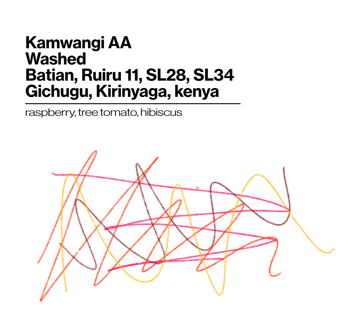 Wholesale - Kenya Kamwangi AA Washed - Roasted 10/19/2026
