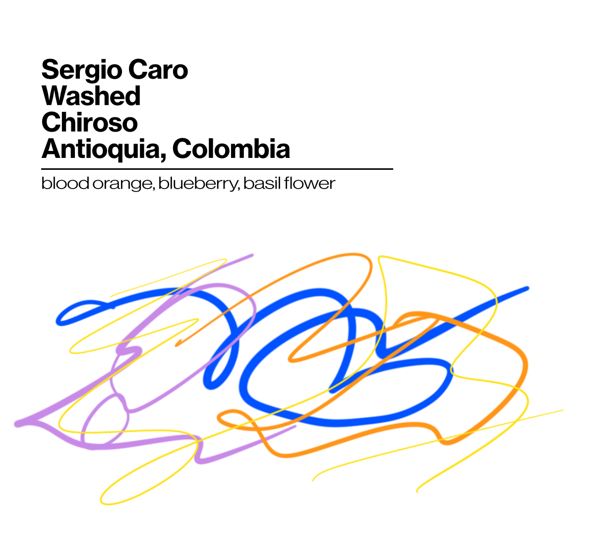 Sergio Caro Washed Chiroso - 200g (7.05oz) - Roasted 09/30/2026