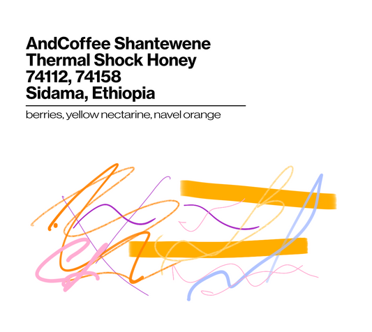 Andcoffee Shantewene - Thermal Shock Honey - 74112, 74158 - 200g (7.05oz) - Roasted 09/30/2026