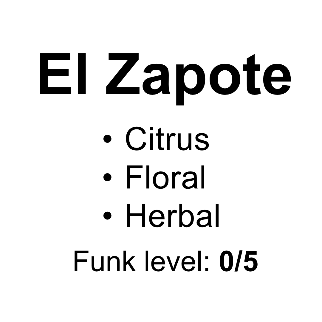 El Zapote - Washed Gesha - 50g (1.76oz) - Roasted 01/07/2026